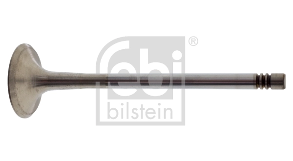 Exhaust Valve